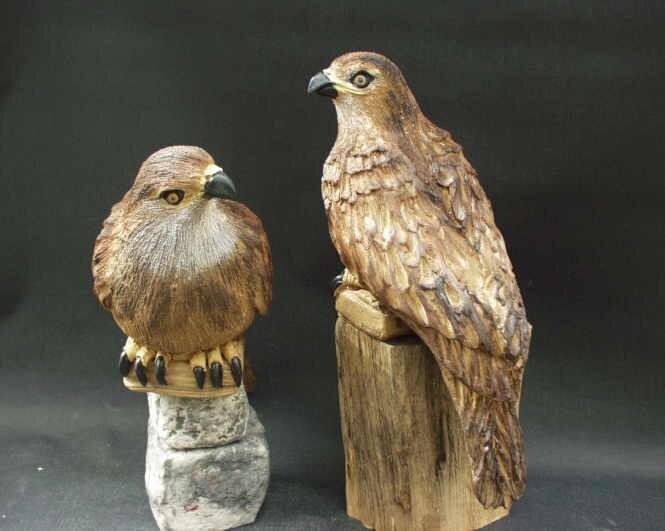 Mäusebussard