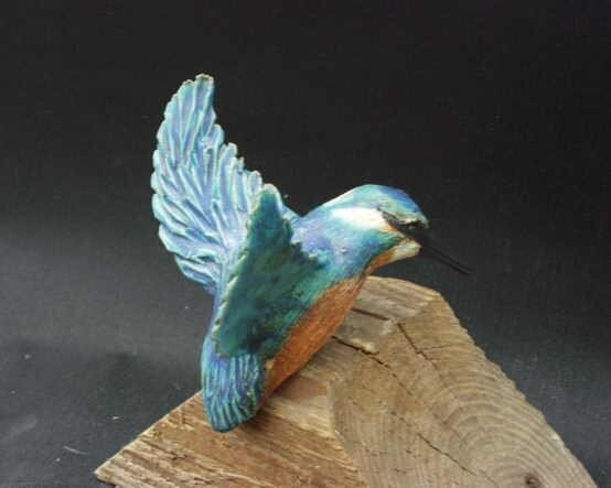 Eisvogel fliegend