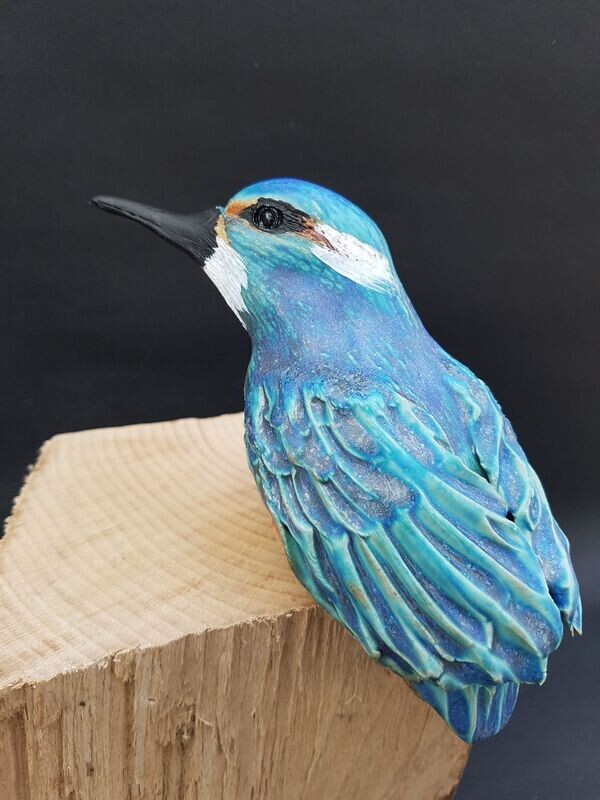 Eisvogel sitzend