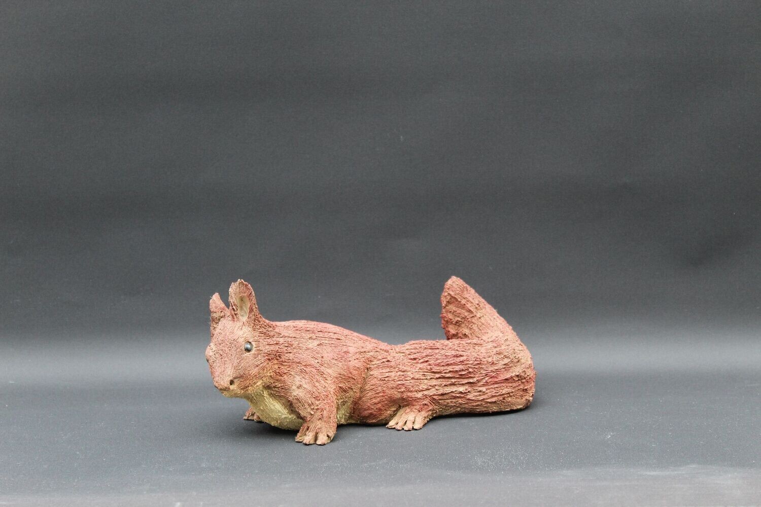 Eichhörnchen