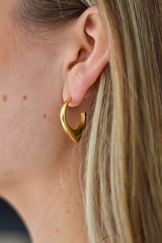 Gold Vermeil Plectrum Earrings