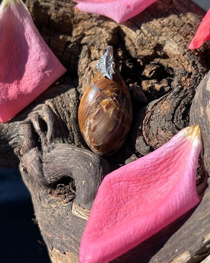 ​Pendentif en bois pétrifié