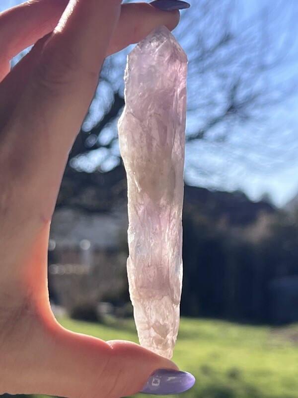 Amethyste sceptre squelette