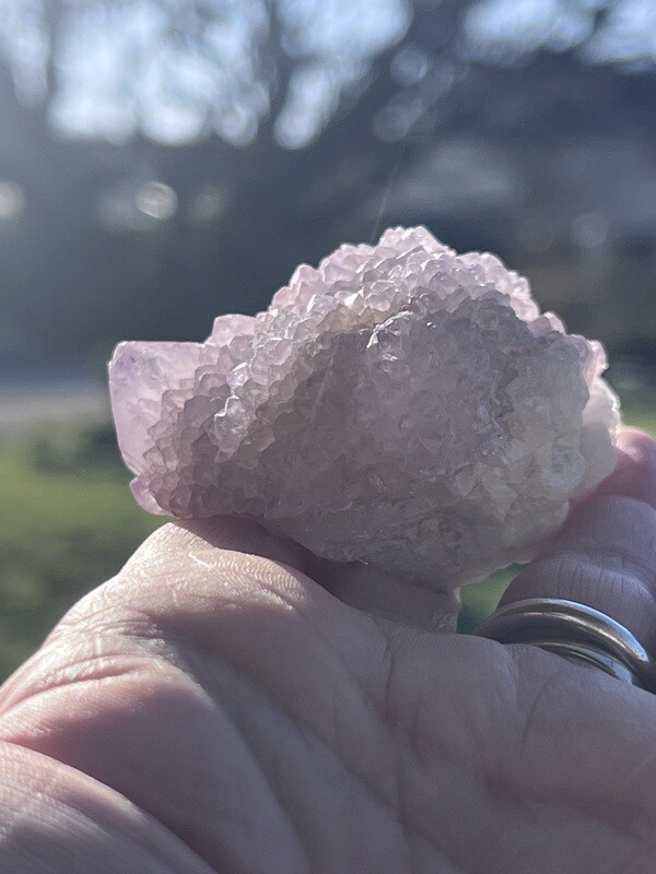 AMETHYSTE CACTUS