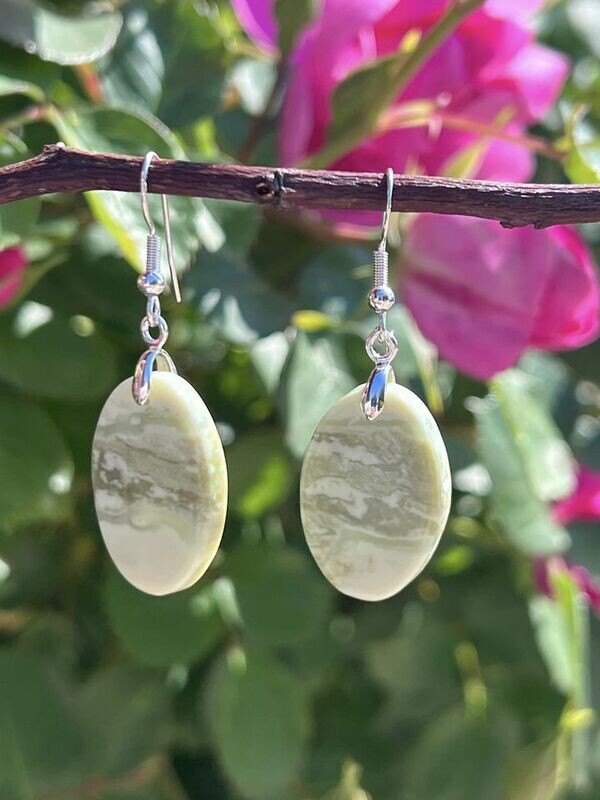 ​Boucles d oreilles en jaspe larsonite