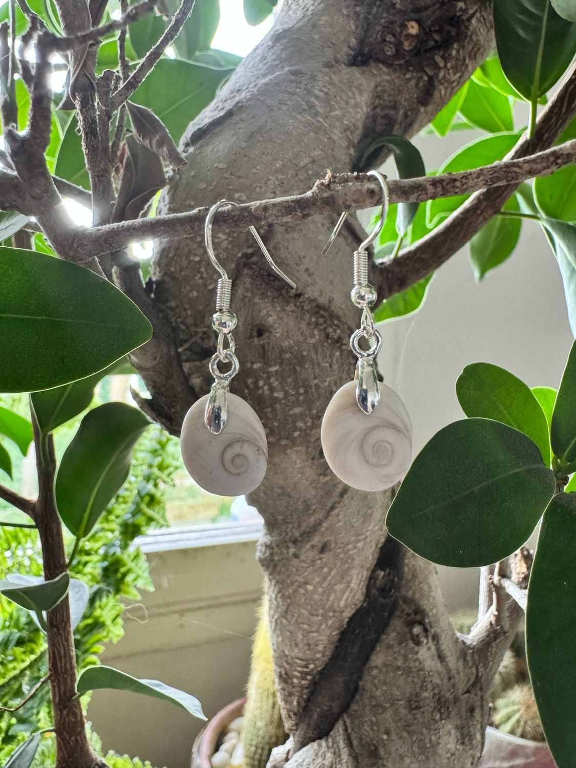 Boucles d oreilles en œil de sainte Lucie