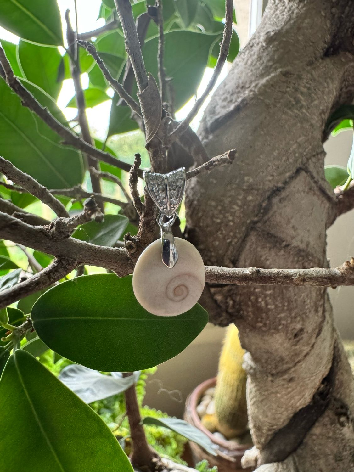Pendentif en œil de sainte Lucie