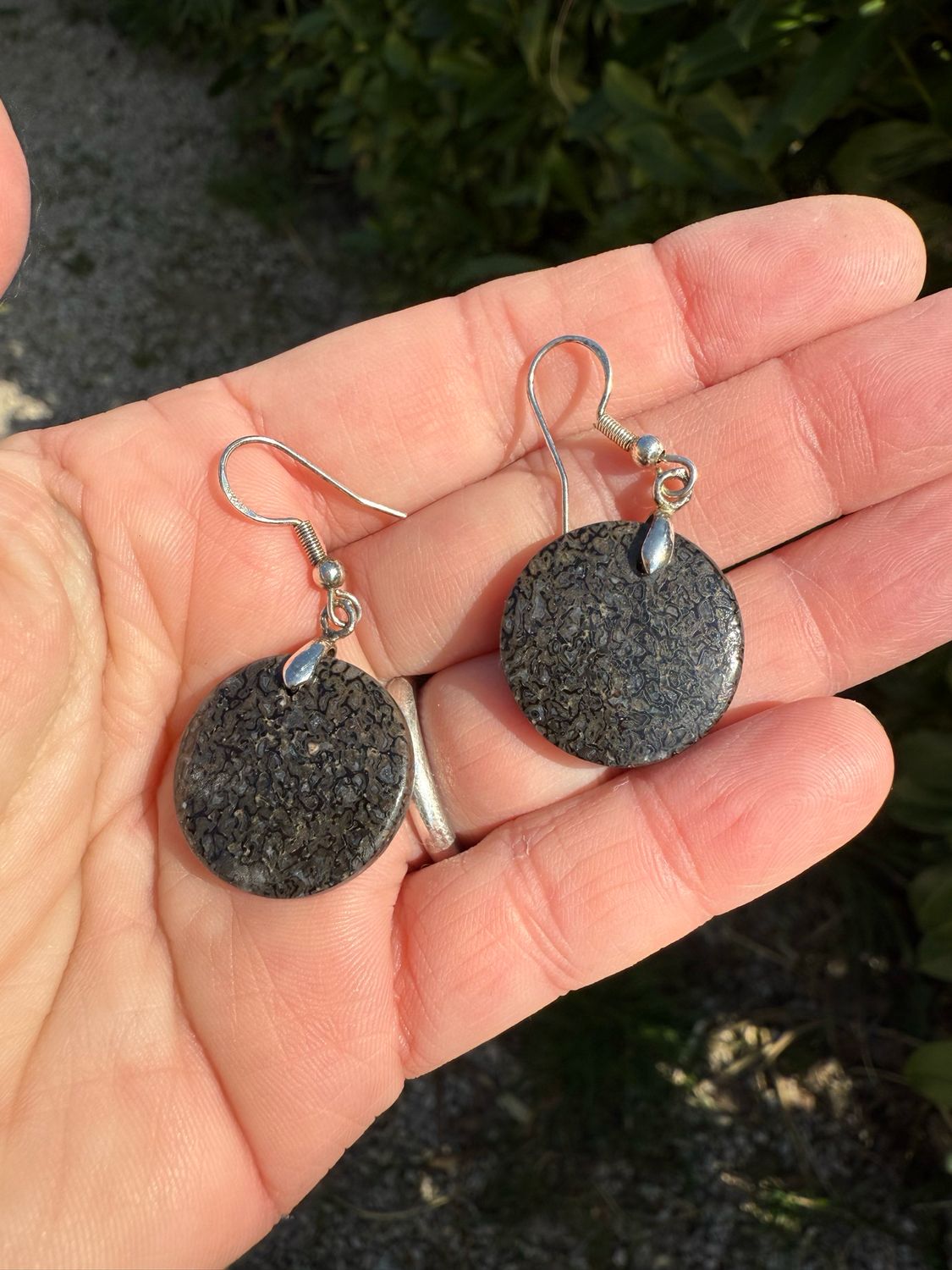 Boucles d oreilles en os de dinosaure fossilisé