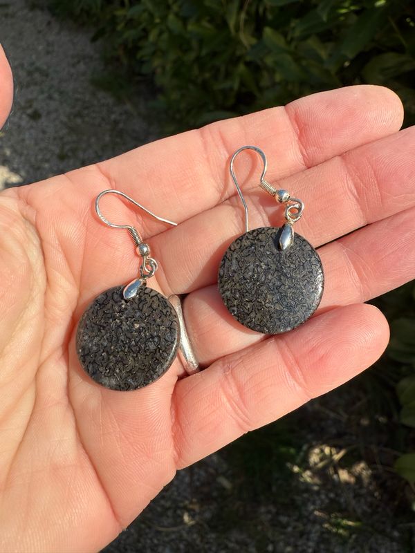 Boucles d oreilles en os de dinosaure fossilisé