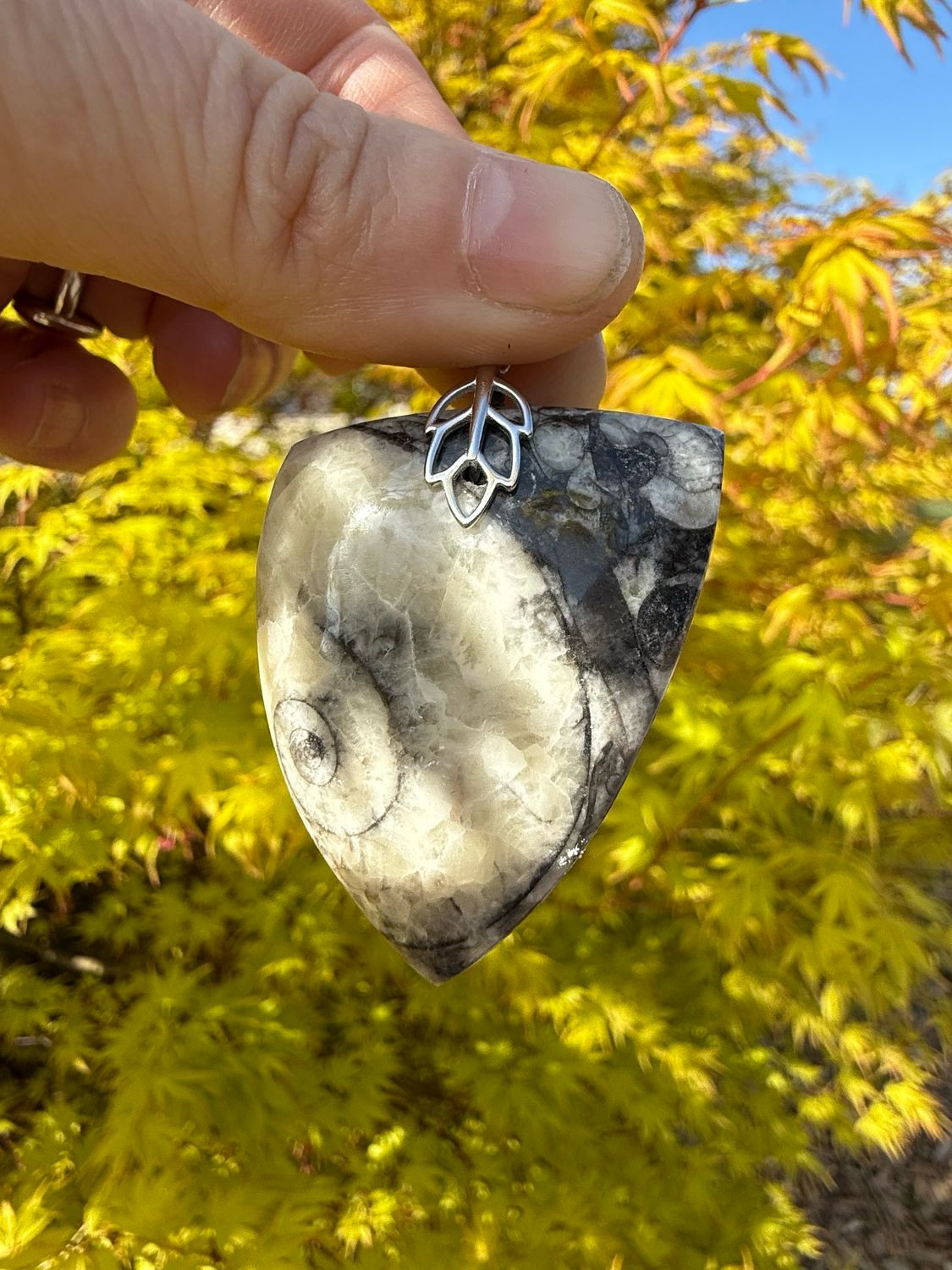 Pendentif en orthocere
