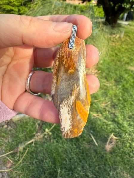 ​Pendentif en bois pétrifié