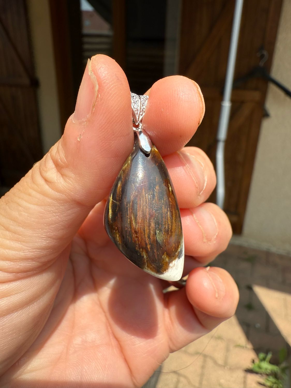 Pendentif en bois pétrifié (fossilisé )