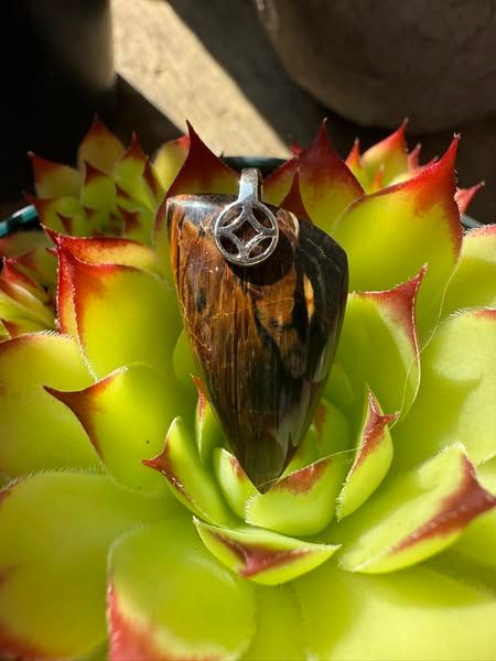 ​Pendentif en bois pétrifié (fossilisé )