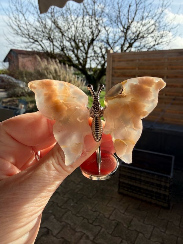 Socle papillon en agate fleur de cerisier