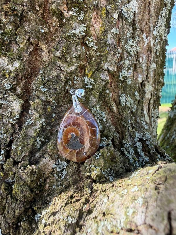 Pendentif en ammonite opalisée