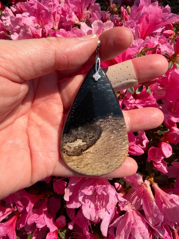 Pendentif en palmier fossilisé