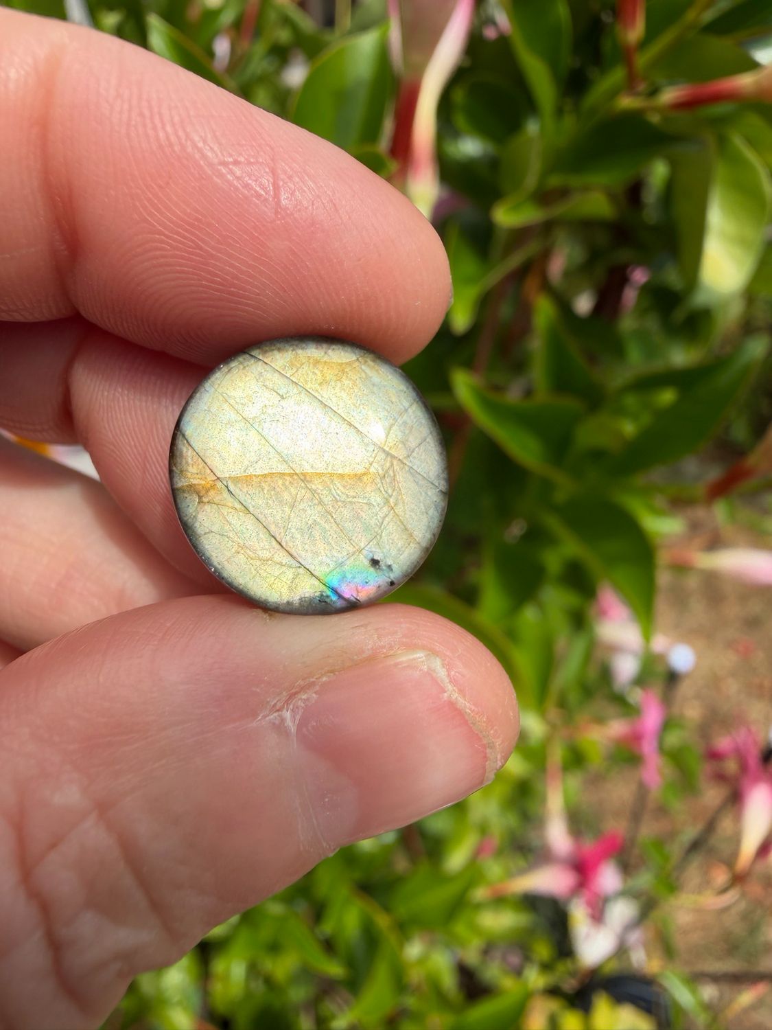 Cabochon de labradorite Cabochon de labradorite