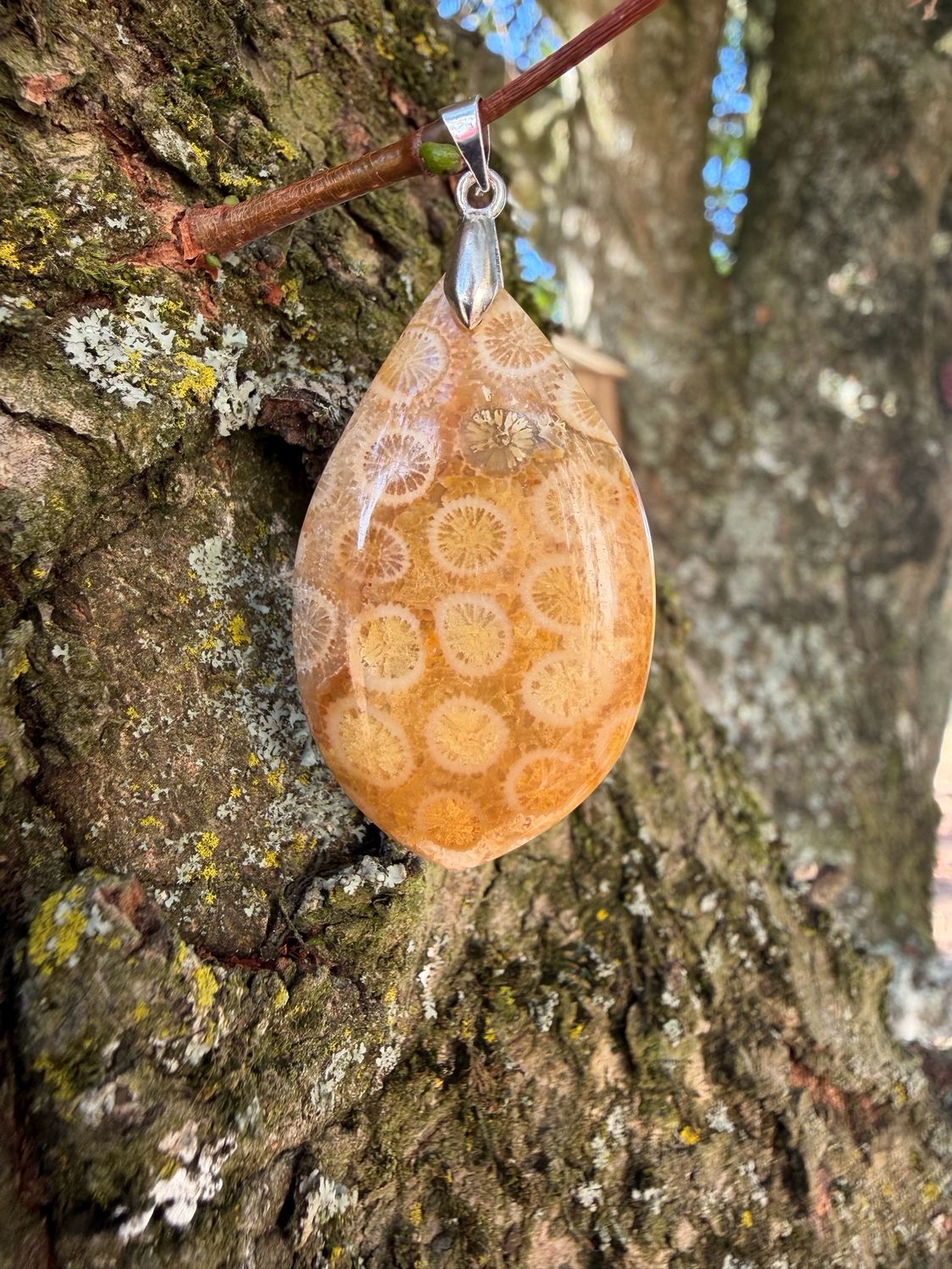Pendentif en corail fossile Pendentif en corail fossile