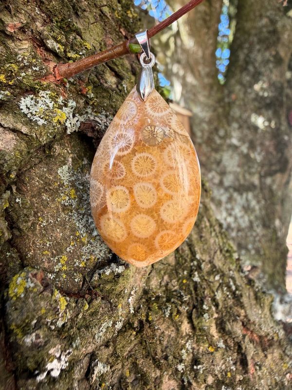 Pendentif en corail fossile