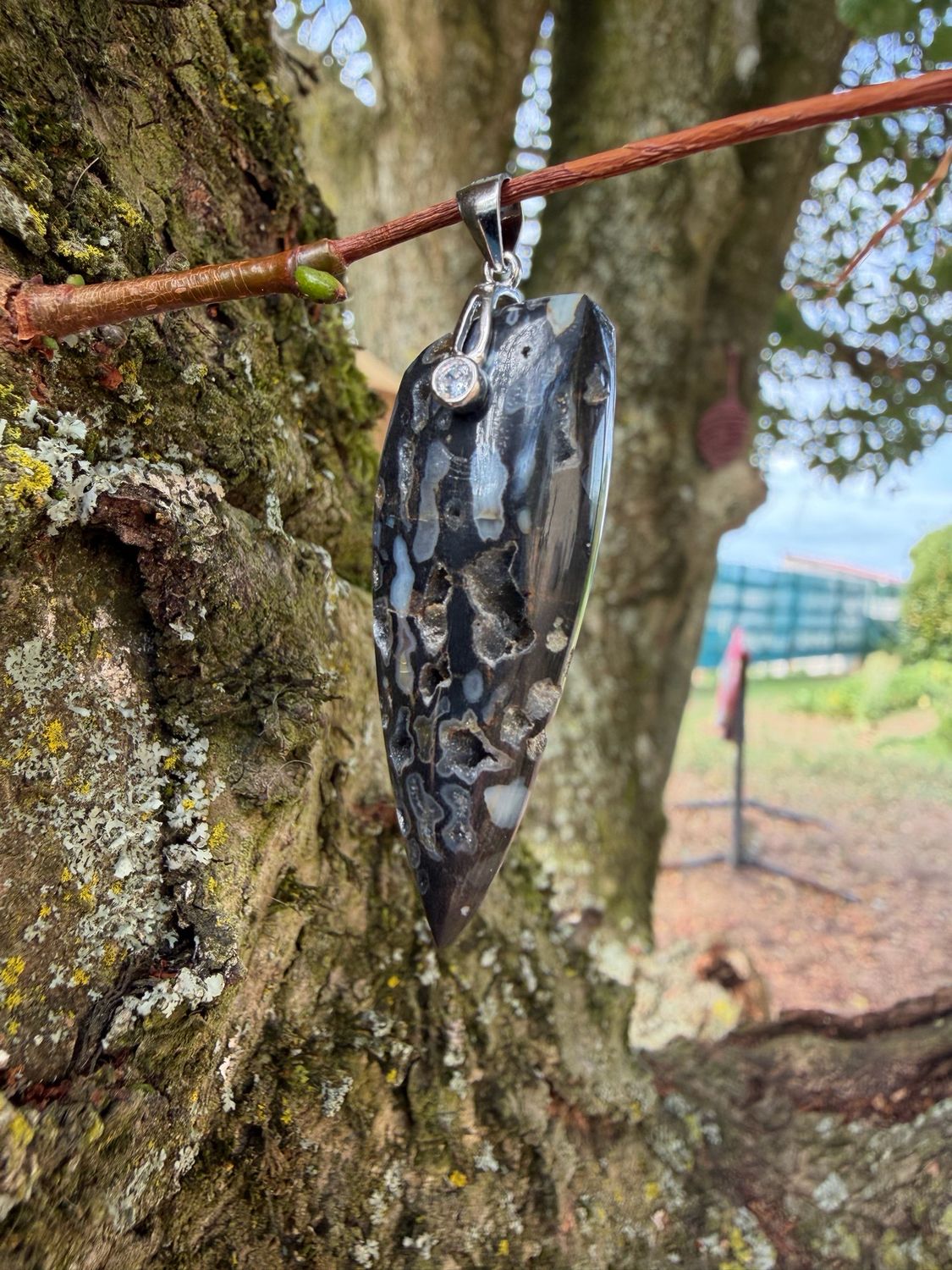 Pendentif en palmier fossilisé Pendentif en palmier fossilisé