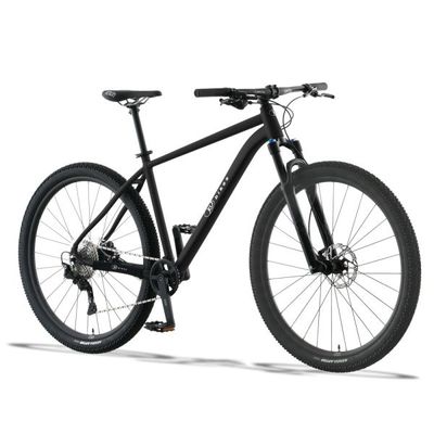 29 ZOLL