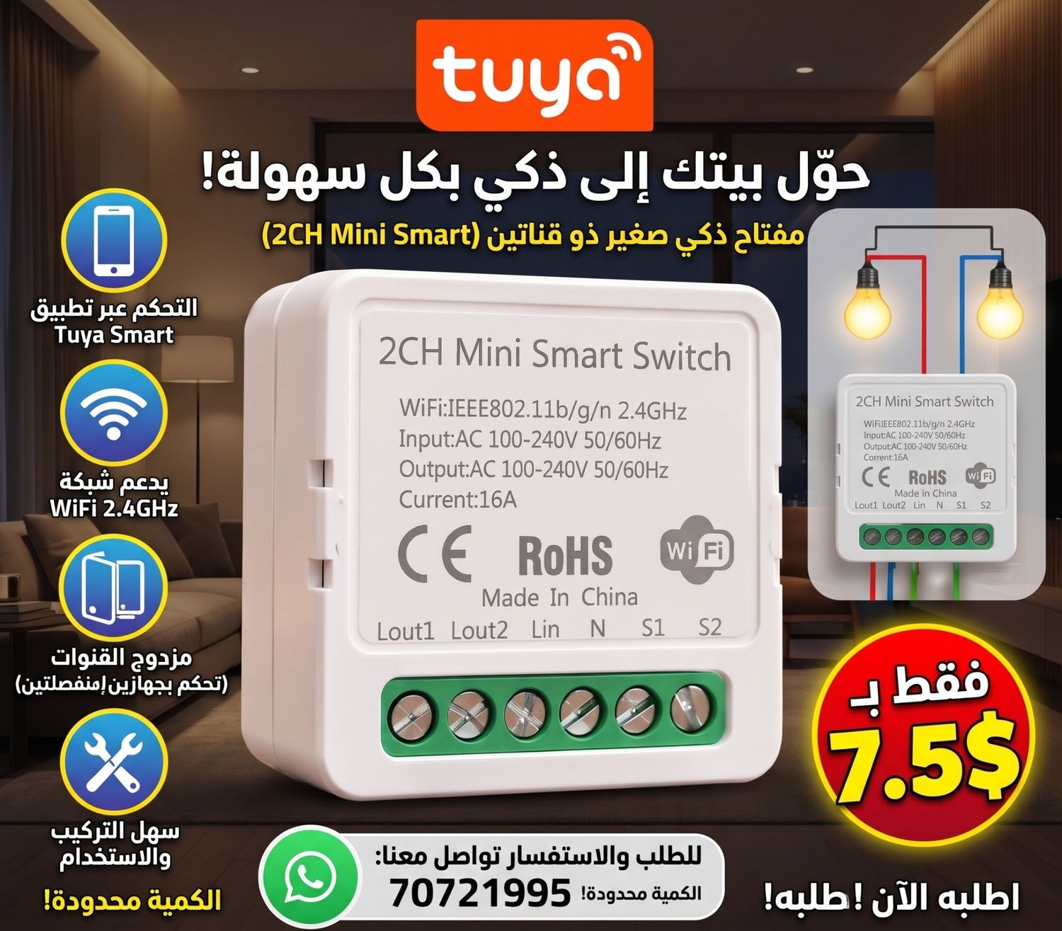2CH Mini Smart Switch  