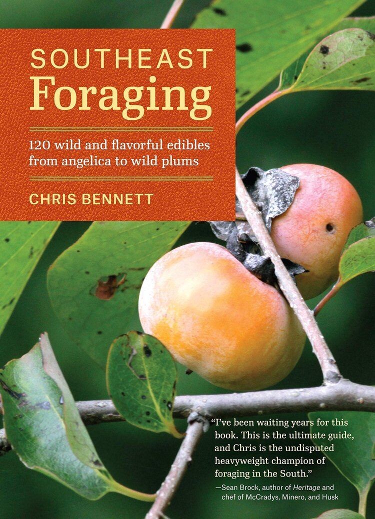 Southeast Foraging: 120 Wild and Flavorful Edibles from Angelica to Wild Plums (Regional Foraging Series)