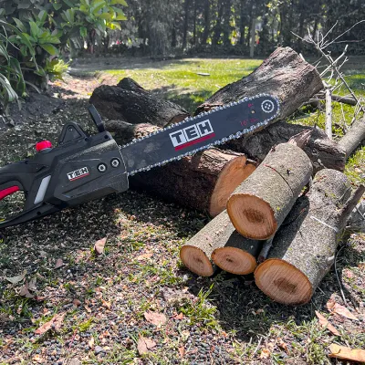 Electric Chainsaw vs Petrol Chainsaw — Which Should You Buy?