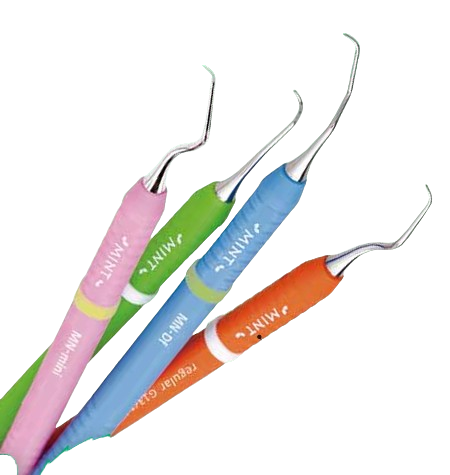 Curette Scaler MINT (Universal Type)