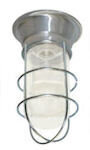 Light Fixture (complete)