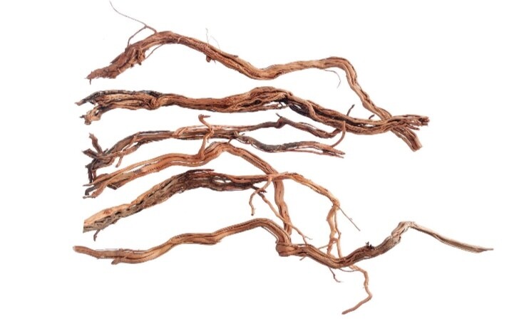 RAMA TWIST ROOT