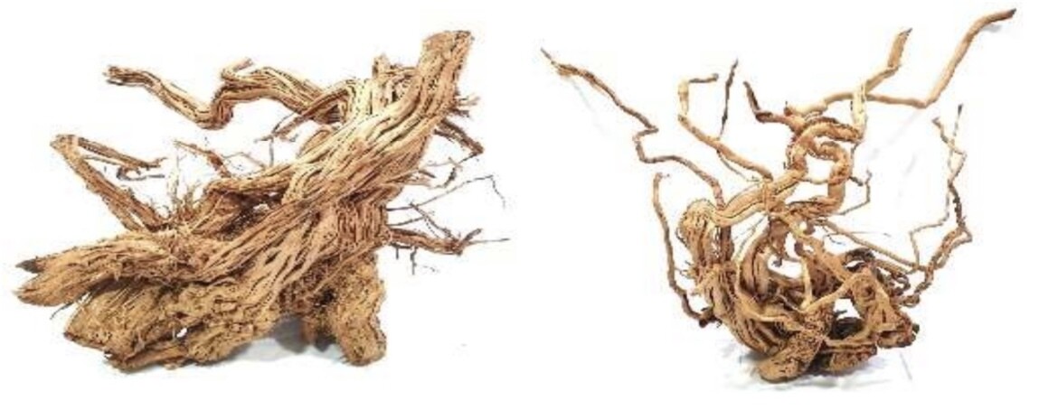 Twist Root