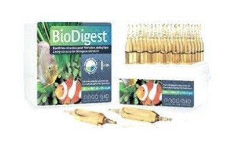 Prodibio biodigest 30 ampollas
