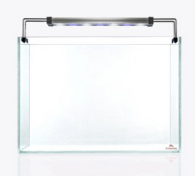 Set Strideways SADO 36P + Twinstar 30A - Urna cristal óptico / Pantalla LED RGBW