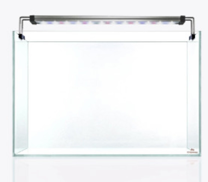 Set Strideways SADO 60P + Twinstar 60A- Urna cristal óptico / Pantalla LED RGBW