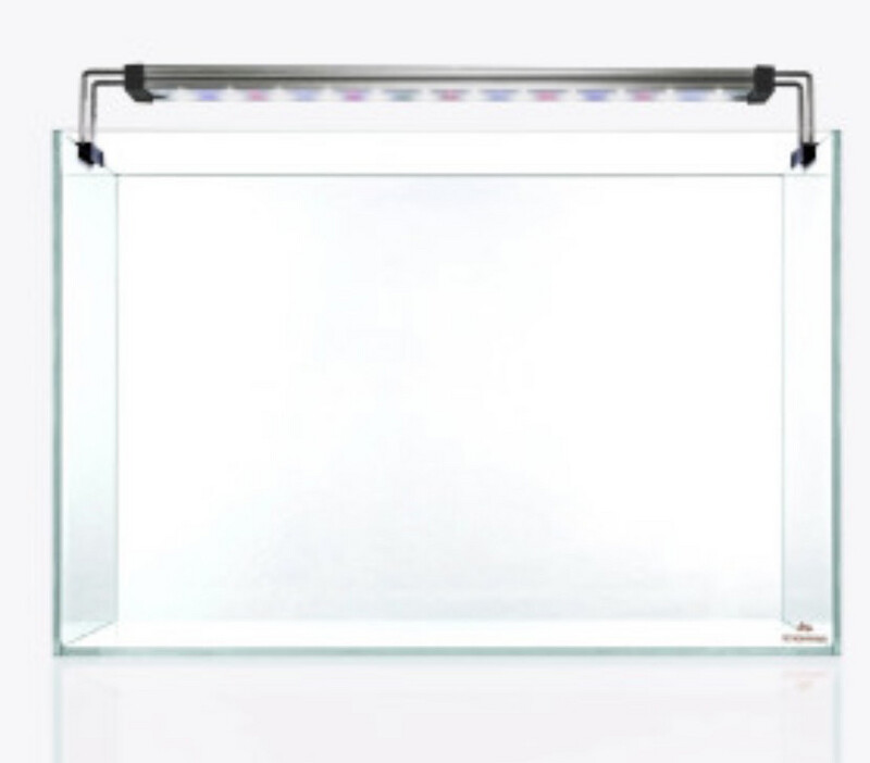 Set Strideways SADO 60P + Twinstar 60A- Urna cristal óptico / Pantalla LED RGBW