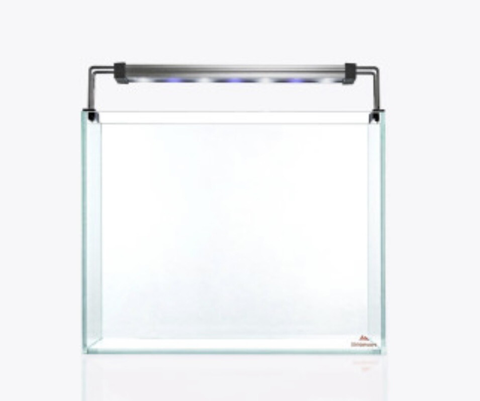 Set Strideways SADO 30P + Twinstar 30A - Urna cristal óptico / Pantalla LED RGBW