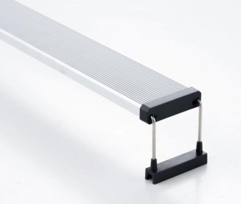 CHIHIROS SERIE B - 80CM