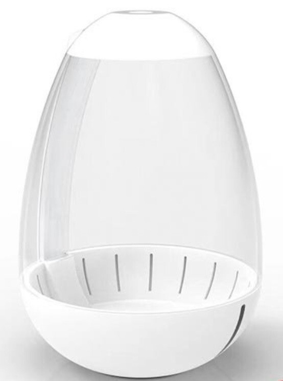 CHIHIROS TINY TERRARIUM EGG