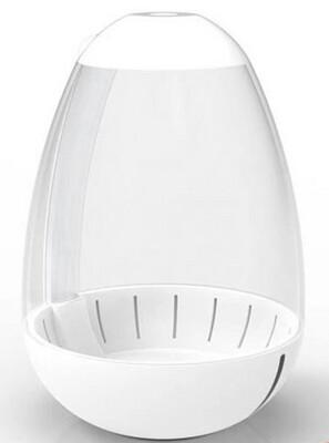 CHIHIROS TINY TERRARIUM EGG