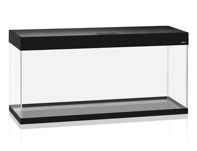 AquaEL ACUARIO OPTI SET 240 NEGRO 2.0 ENVÍO GRATUITO CON SEGURO