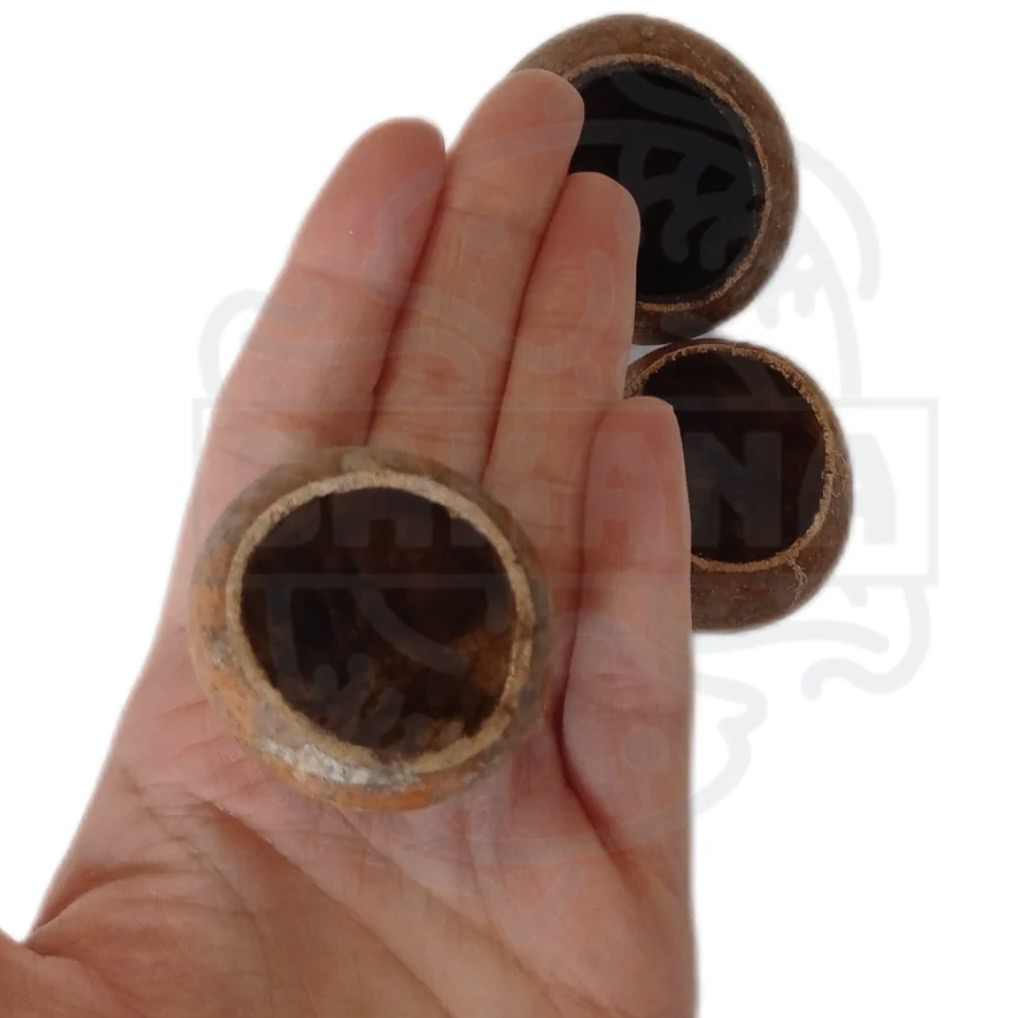 Fruto Kuchipal - pack de 3 unidades