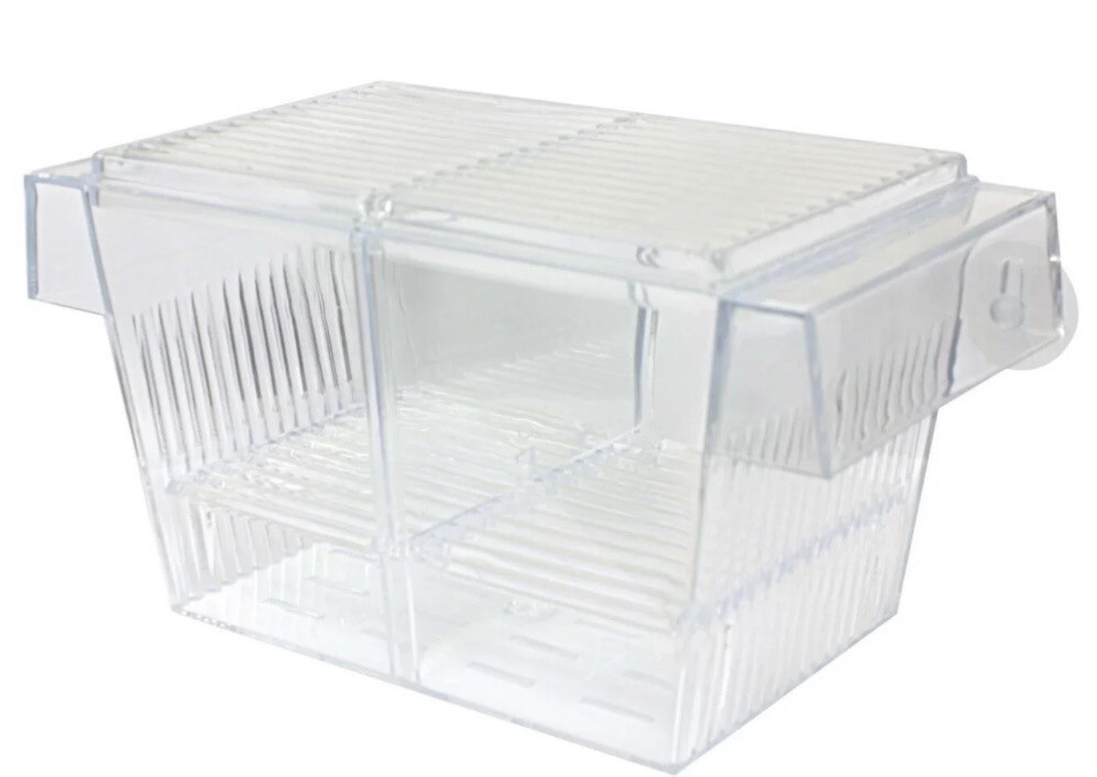 Paridera flotante 2 en 1 con tapa (10 cm)
