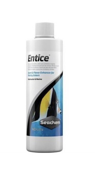 Entice 250 ml. Seachem