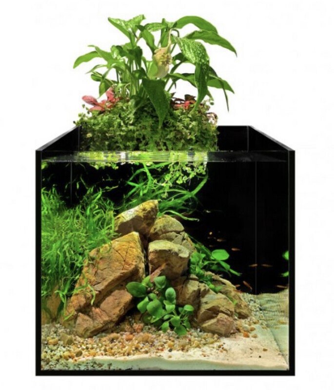 aFarm, set de acuario (13L) con emergido.