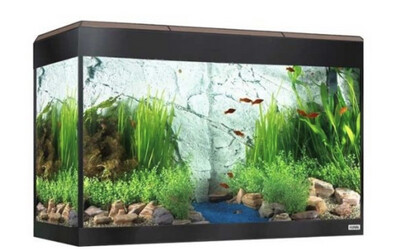 Kit acuario Fluval Roma 125 LED