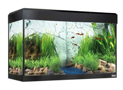Kit acuario Fluval Roma 200 LED