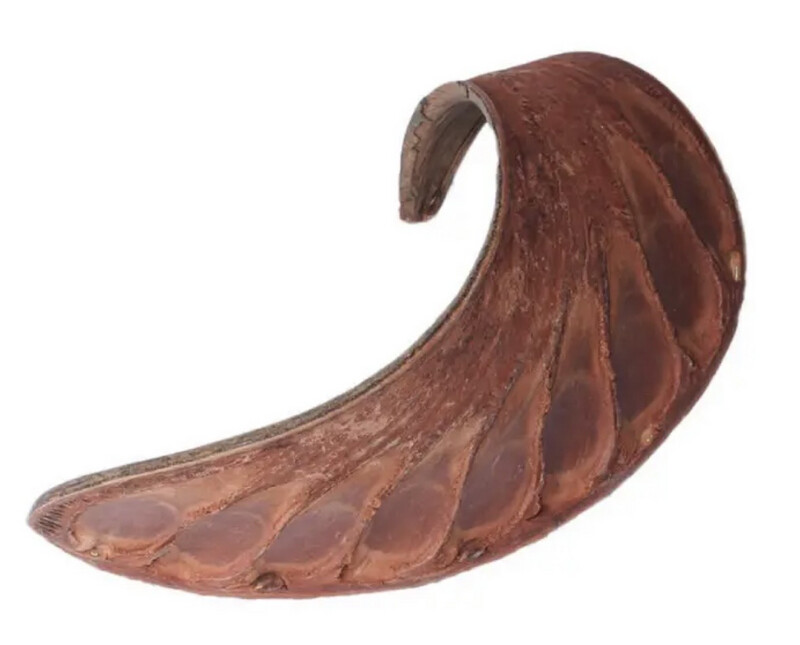 Vaina Xylia – 2 unid Vaina Xylia – 2 unid