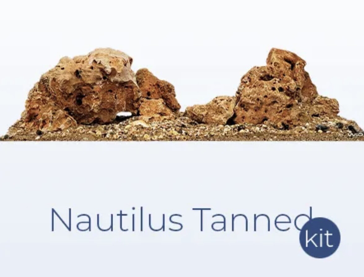 WIO Decor Kit Aquascaping Nautilus Tanned