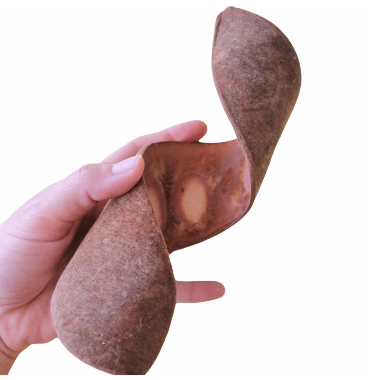 ISOBERLINIA POD